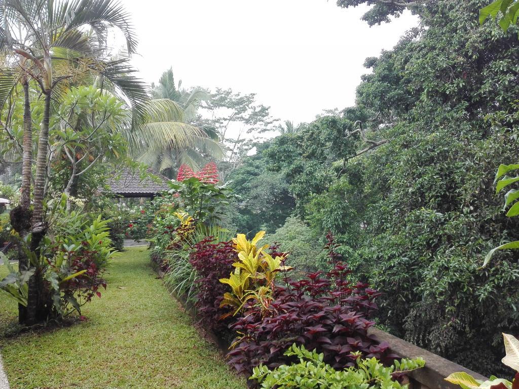 Villa Alam Surya Ubud Eksteriør billede